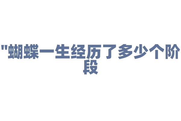 "蝴蝶一生经历了多少个阶段？揭秘昆虫生命周期"